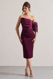 Perception | Plum Asymmetric One-Sleeve Midi Dress