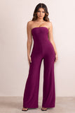 Darya Wine Bandeau Wide Leg Jumpsuit