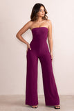 Darya Wine Bandeau Wide Leg Jumpsuit