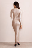 Your Sign Champagne Plunge Neck Wrap Front Long Sleeve Maxi Dress