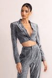 Bailey Silver Metallic Tailored Crop Blazer