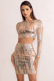 Aftermath Champagne Sequin Crop Top